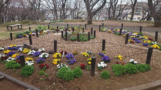 Kikuna Sakurayama Park